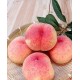 Саженец персика "Фламинго" Саженец персика "Фламинго"